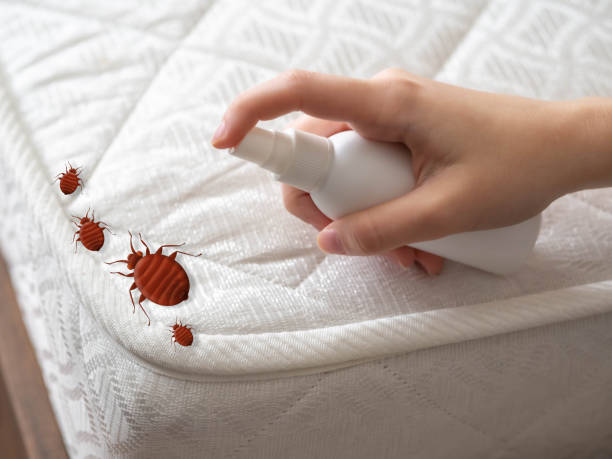 Best Indoor Pest Control  in Ocean Grove, MA